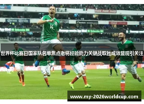 世界杯比赛日国家队名单焦点老将经验助力关键战取胜成效显现引关注